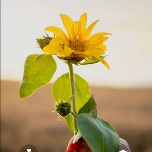 Meet your Posher, Candace